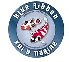 Blue Ribbon Koi & Marine